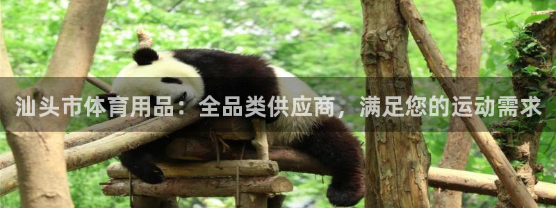 欧陆娱乐登陆官网：汕头市体育用品：全品类供应商，满足