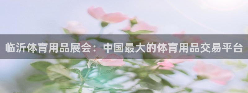 欧陆娱乐登陆平台官网：临沂体育用品展会：中国最大的体