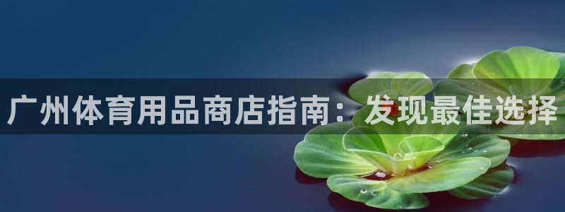 欧陆娱乐共创美好：广州体育用品商店指南：发现最佳选择