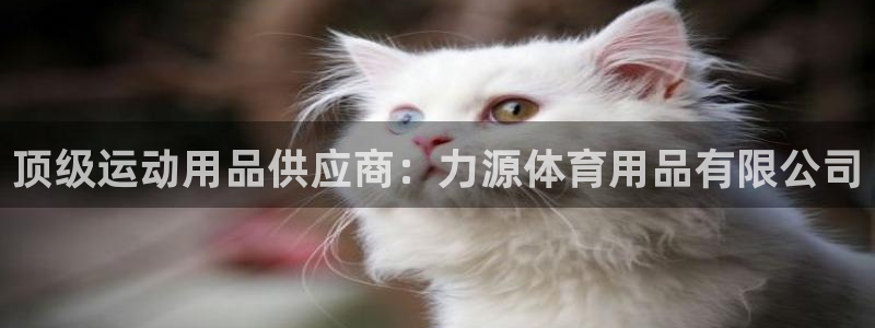 欧陆娱乐是正规平台吗安全吗可信吗：顶级运动用品供应商