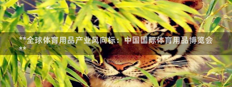 欧陆娱乐合法吗：**全球体育用品产业风向标：中国国际