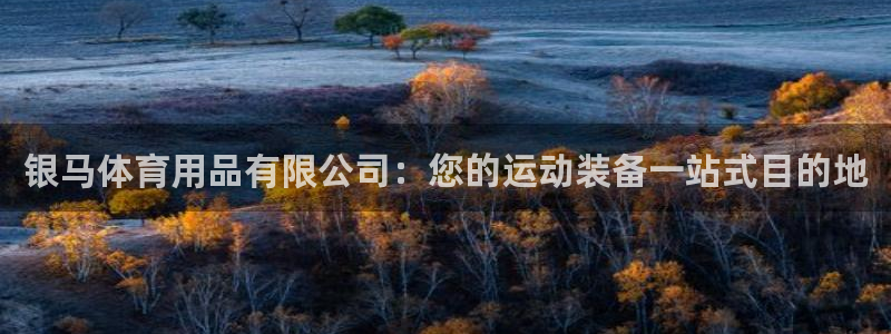 欧陆娱乐平台登录不上去怎么回事：银马体育用品有限公司