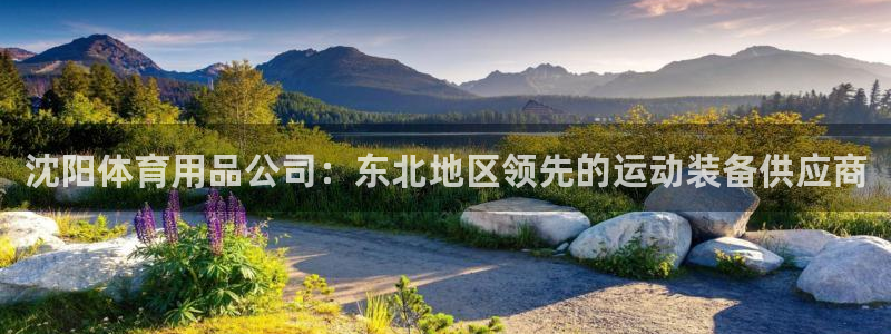 欧陆娱乐是正规平台吗安全吗知乎：沈阳体育用品公司：东