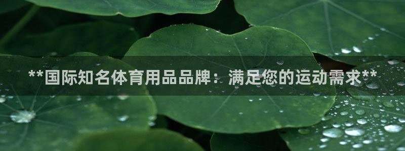 欧陆娱乐脚本怎么用：**国际知名体育用品品牌：满足您