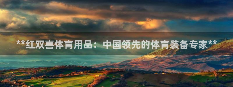欧陆娱乐公司产品介绍：**红双喜体育用品：中国领先的