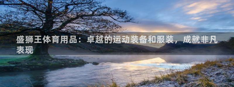 欧陆娱乐代理多少个点位可以赚钱：盛狮王体育用品：卓越