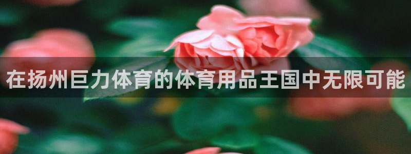 欧陆娱乐客服电话人工服务电话：在扬州巨力体育的体育用