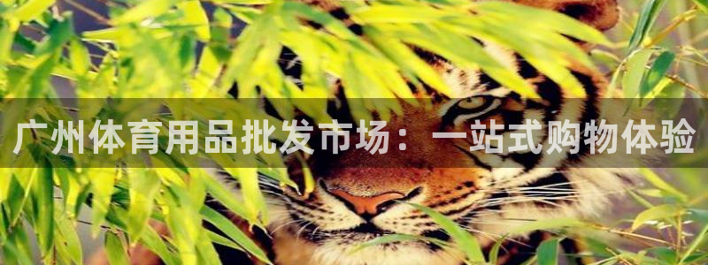欧陆娱乐登陆平台官网：广州体育用品批发市场：一站式购