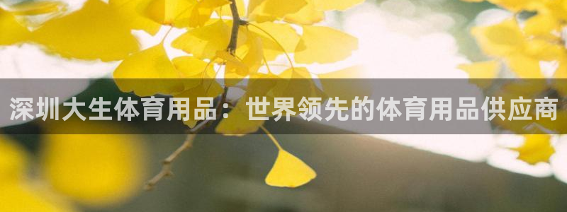 欧陆娱乐平台登录不上怎么办：深圳大生体育用品：世界领