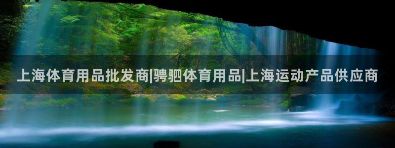 欧陆娱乐挂机项目有哪些：上海体育用品批发商|骋驷体育