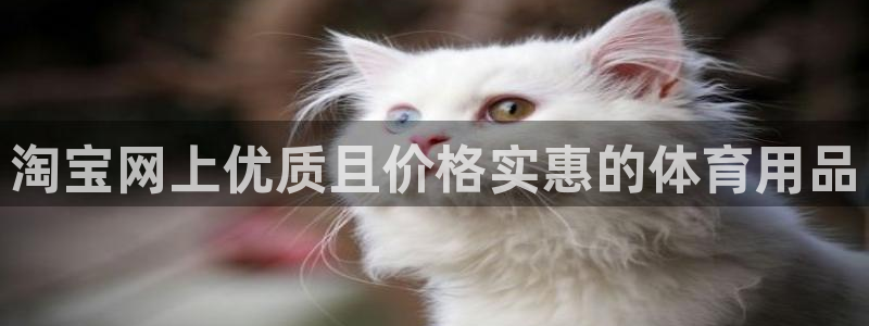 欧陆娱乐有限公司怎么样：淘宝网上优质且价格实惠的体育