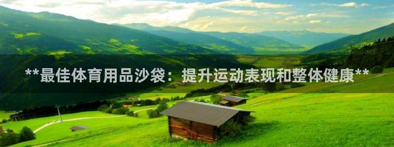 欧陆娱乐登陆平台官网：**最佳体育用品沙袋：提升运动