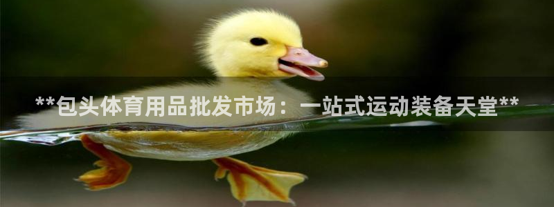 欧陆娱乐计划预测软件哪个好：**包头体育用品批发市场