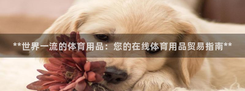 欧陆娱乐稳中：**世界一流的体育用品：您的在线体育用