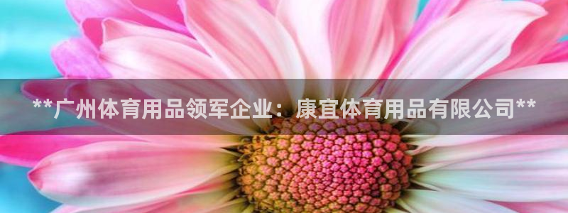 欧陆论坛：**广州体育用品领军企业：康宜体育用品有限