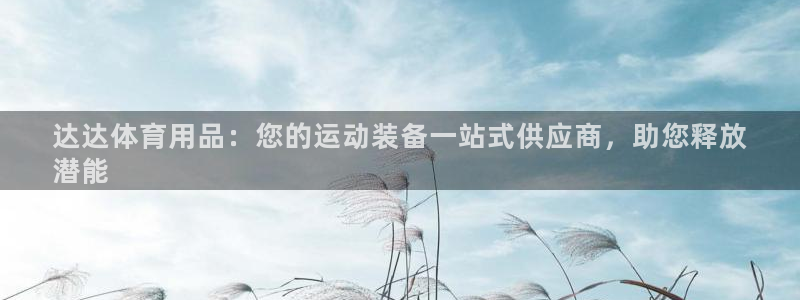 欧陆娱乐测试网站：达达体育用品：您的运动装备一站式供
