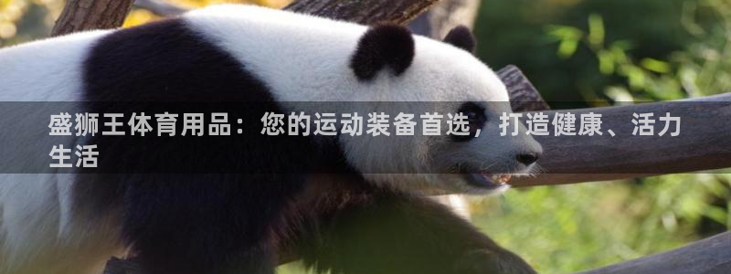 欧陆娱乐注册代理：盛狮王体育用品：您的运动装备首选，