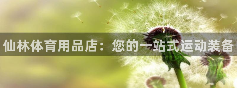 欧陆娱乐脚本怎么用：仙林体育用品店：您的一站式运动装