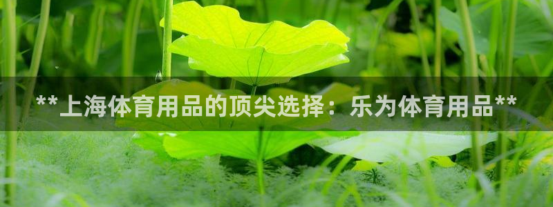 欧陆娱乐挂机怎么玩：**上海体育用品的顶尖选择：乐为