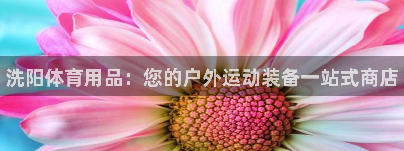 欧陆娱乐计划app官方正版安装下载苹果：洗阳体育用品