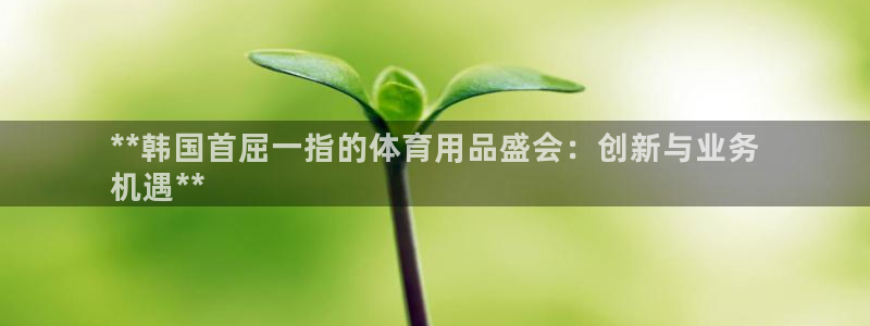 欧陆娱乐代理多少个点位啊：**韩国首屈一指的体育用品