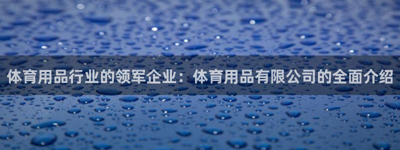 欧陆娱乐能不能玩手游：体育用品行业的领军企业：体育用