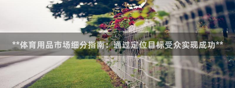 欧陆娱乐招商主管：**体育用品市场细分指南：通过定位