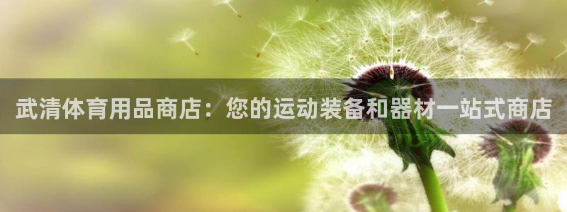 重庆欧陆娱乐有限公司怎么样：武清体育用品商店：您的运
