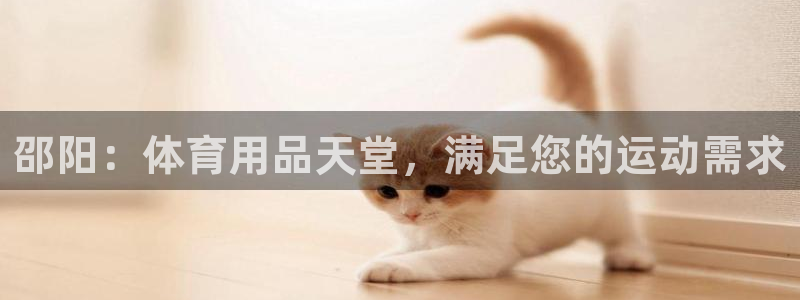 欧陆娱乐百科百度：邵阳：体育用品天堂，满足您的运动需