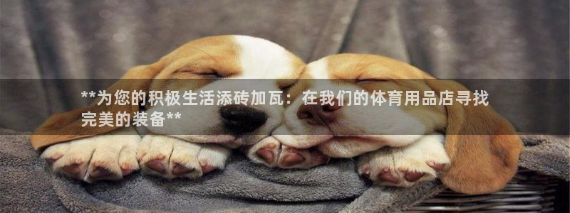 欧陆娱乐百科：**为您的积极生活添砖加瓦：在我们的体