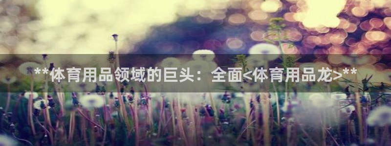 欧陆娱乐不让提现怎么办：**体育用品领域的巨头：全面
