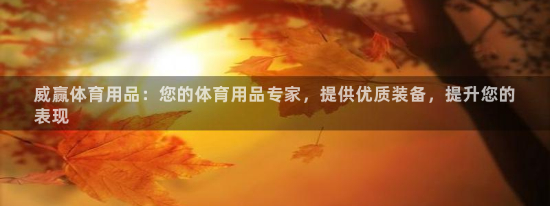 欧陆娱乐平台咋样：威赢体育用品：您的体育用品专家，提