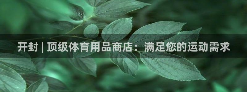 欧陆娱乐怎么注册：开封 | 顶级体育用品商店：满足您
