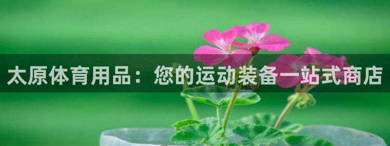 欧陆娱乐登录平台官网：太原体育用品：您的运动装备一站