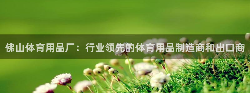 欧陆娱乐官方网站下载：佛山体育用品厂：行业领先的体育