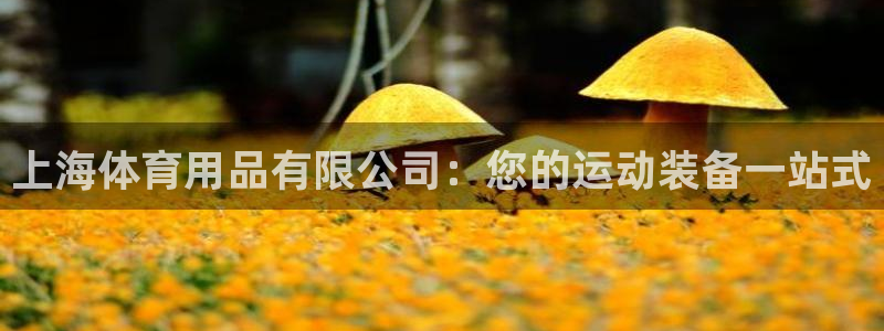 欧陆娱乐挂机怎么玩游戏：上海体育用品有限公司：您的运
