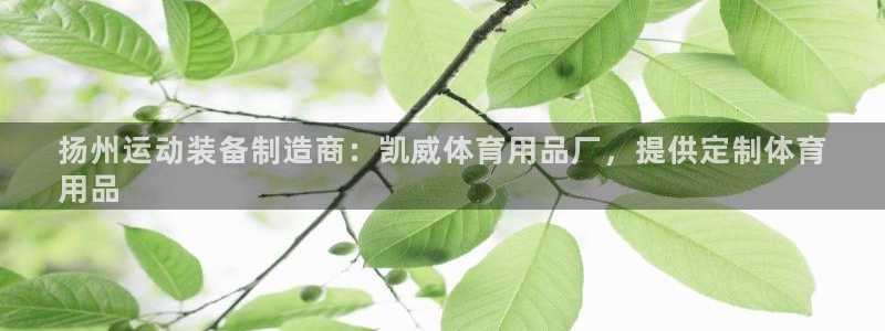 欧陆娱乐脚本怎么下载：扬州运动装备制造商：凯威体育用