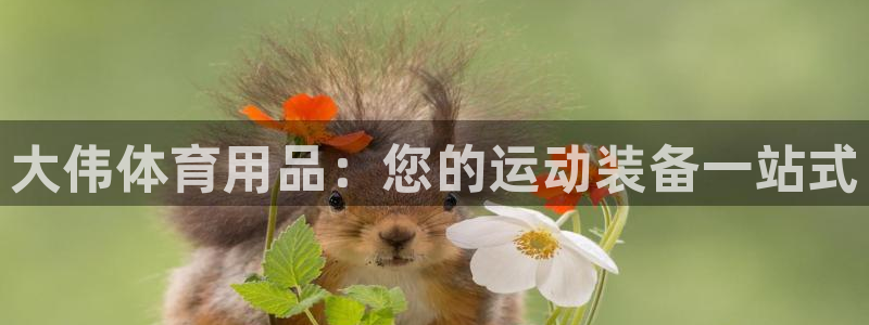 欧陆娱乐app打不开怎么回事视频：大伟体育用品：您的
