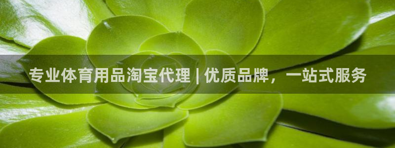 欧陆娱乐是正规平台吗安全吗可信吗是真的吗：专业体育用