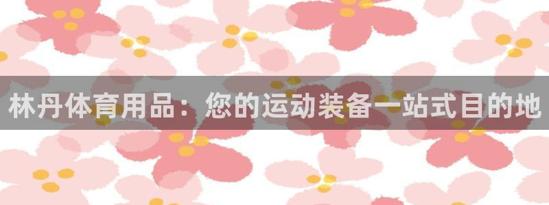 欧陆娱乐官网入口网址：林丹体育用品：您的运动装备一站