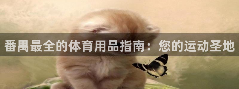 欧陆娱乐登陆官网入口：番禺最全的体育用品指南：您的运