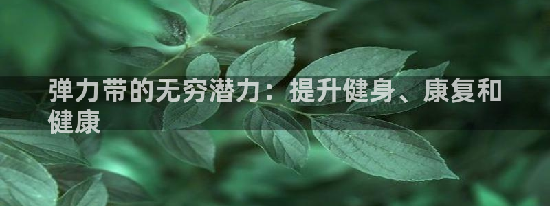 欧陆娱乐注册链接怎么弄的：弹力带的无穷潜力：提升健身