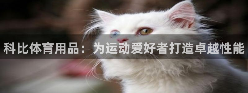 欧陆是什么平台：科比体育用品：为运动爱好者打造卓越性能