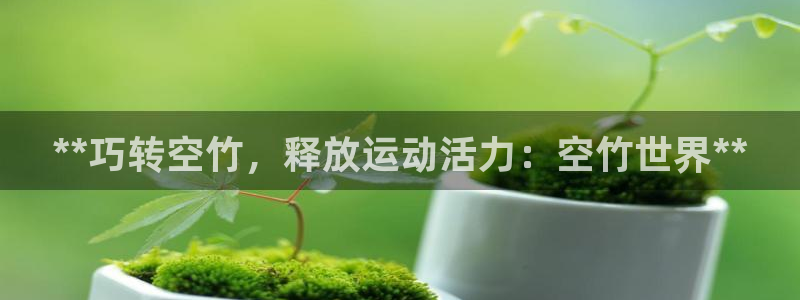 欧陆娱乐官网首页：**巧转空竹，释放运动活力：空竹世界**