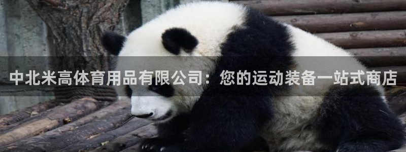 欧陆娱乐提现两百万：中北米高体育用品有限公司：您的运