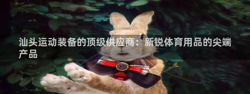 欧陆娱乐有风险吗：汕头运动装备的顶级供应商：新锐体育