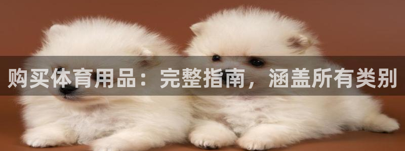 欧陆娱乐平台官网：购买体育用品：完整指南，涵盖所有类别