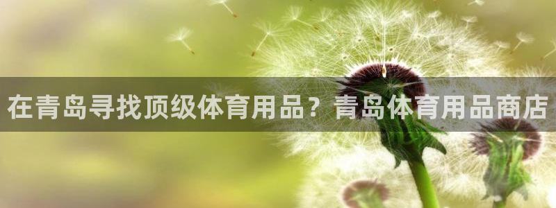 欧陆娱乐挂机怎么玩游戏：在青岛寻找顶级体育用品？青岛体育用品