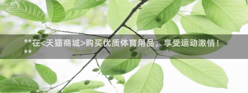 欧陆娱乐招商主管：**在<天猫商城>购买优质体育用品，享受运