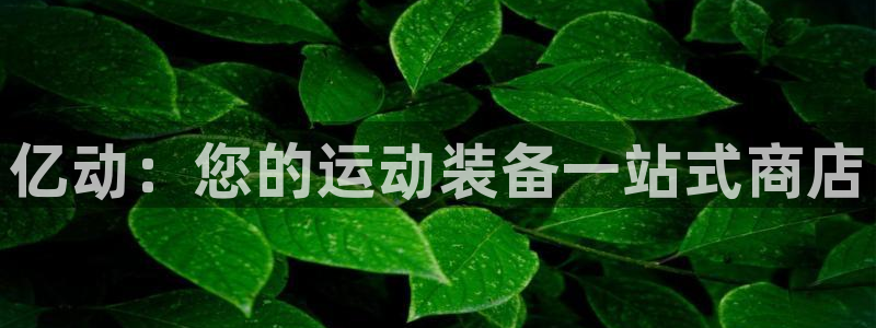 欧陆娱乐会员：亿动：您的运动装备一站式商店